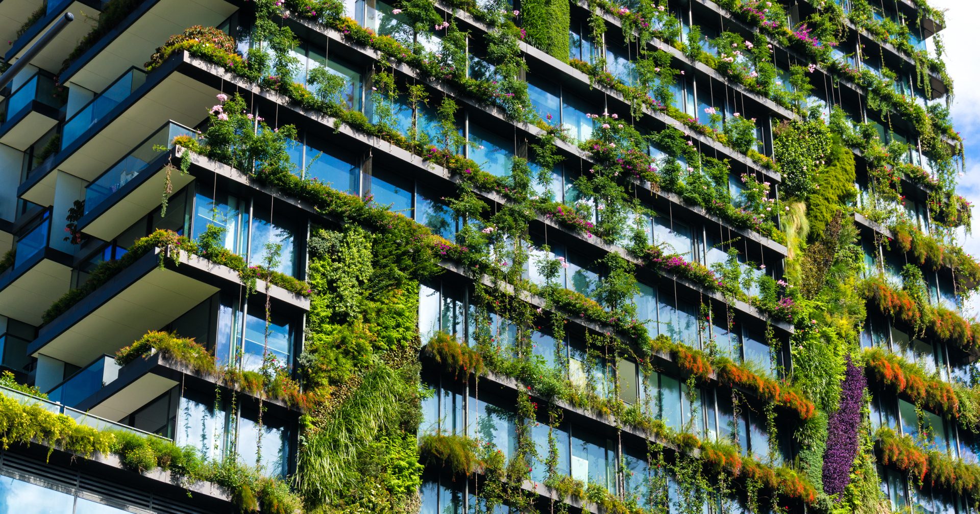 Climate Change Performance Index (CCPI)