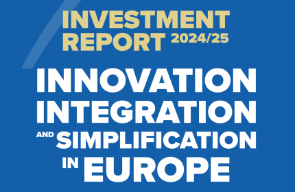 European Investment Bank (2025): Investment Report 2024/2025